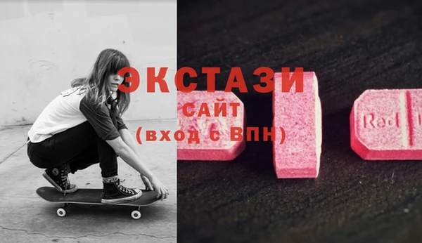 СК Алексин