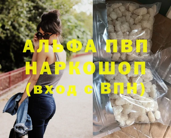 СК Алексин